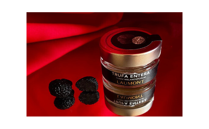 Guide complet des différentes variétés de truffes Guide complet des différentes variétés de truffes