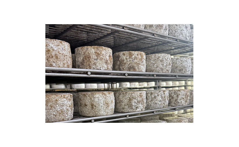 Fromages Kamiku : les trésors affinés du Pays basque
