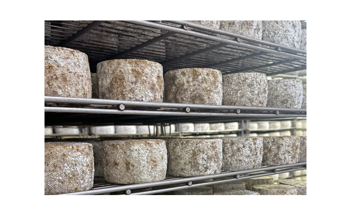 Fromages Kamiku : les trésors affinés du Pays basque
