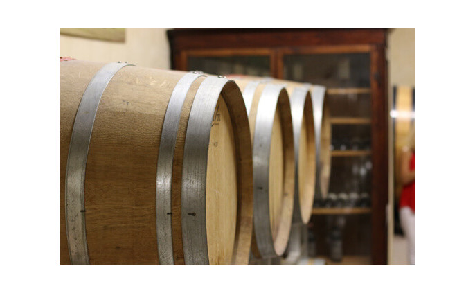 Fabrication du vin rouge : découvrez la vinification 